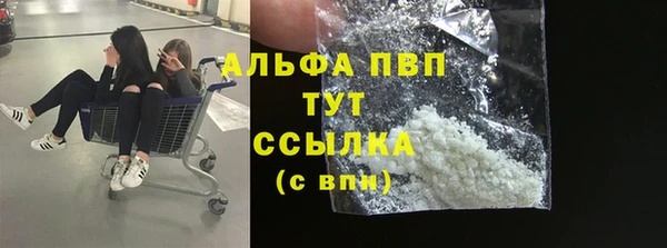 стафф Алексин