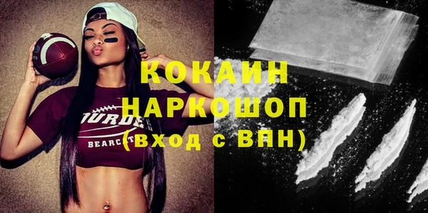 стафф Ельня
