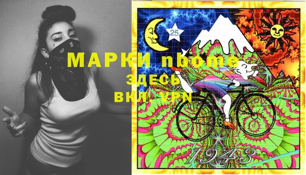 стафф Алексин