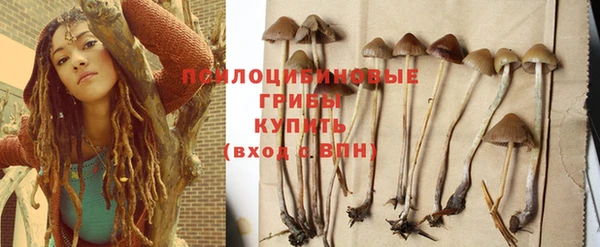 стафф Алексин